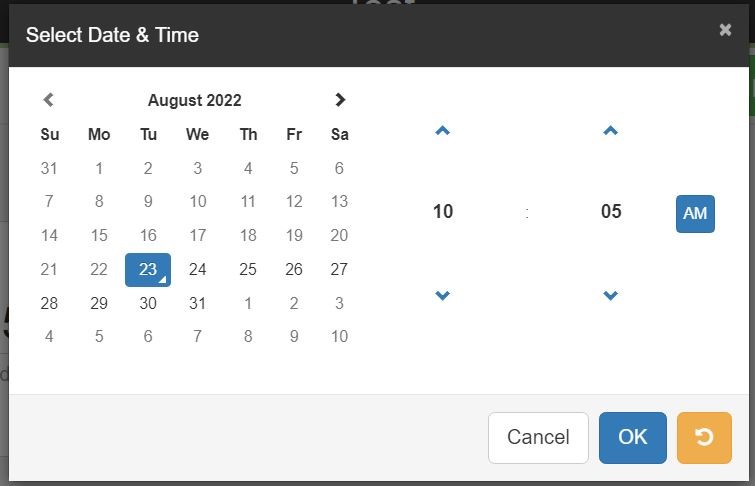 An image showing the date time selector
